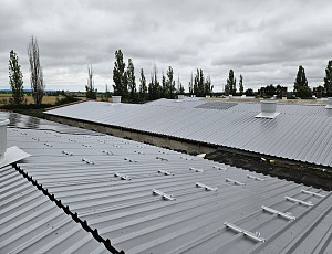 Výměna střešní krytiny na hale výkrmu prasat